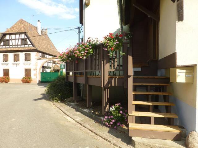 Gite, Maison Independante "Chez Yvette Et Andre" 2 A 6 Pers, Ribeauville A 3 Km, Colmar A 10 Km Guémar Exterior photo