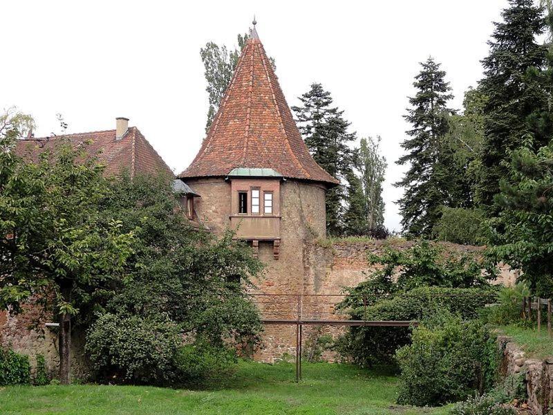 Gite, Maison Independante "Chez Yvette Et Andre" 2 A 6 Pers, Ribeauville A 3 Km, Colmar A 10 Km Guémar Exterior photo