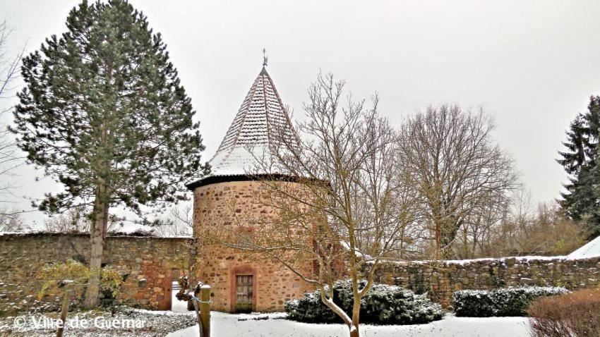 Gite, Maison Independante "Chez Yvette Et Andre" 2 A 6 Pers, Ribeauville A 3 Km, Colmar A 10 Km Guémar Exterior photo