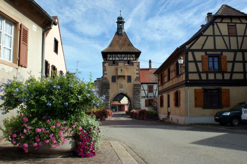 Gite, Maison Independante "Chez Yvette Et Andre" 2 A 6 Pers, Ribeauville A 3 Km, Colmar A 10 Km Guémar Exterior photo