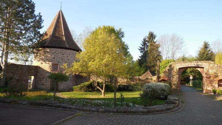 Gite, Maison Independante "Chez Yvette Et Andre" 2 A 6 Pers, Ribeauville A 3 Km, Colmar A 10 Km Guémar Exterior photo